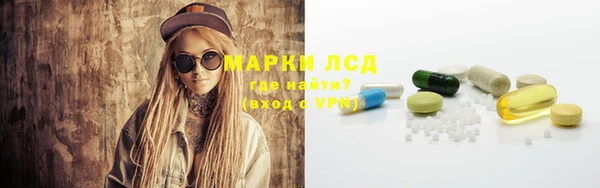 хмурый Арсеньев